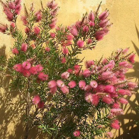 Le Verger De Sauvebonne 3*