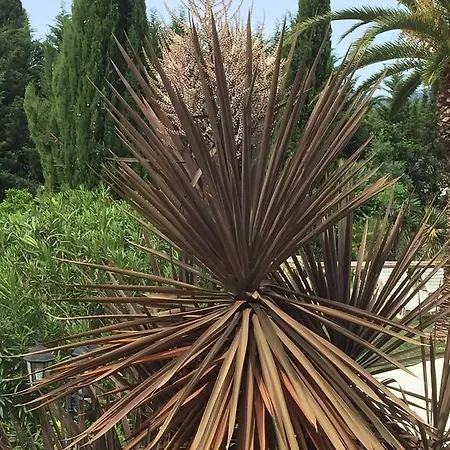 Le Verger De Sauvebonne Bed & Breakfast Hyères