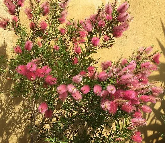 Le Verger De Sauvebonne 3*