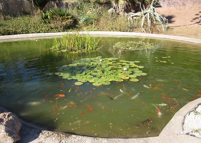 Oda ve Kahvaltı Le Verger De Sauvebonne