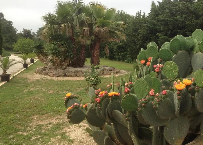 Oda ve Kahvaltı Le Verger De Sauvebonne 3*