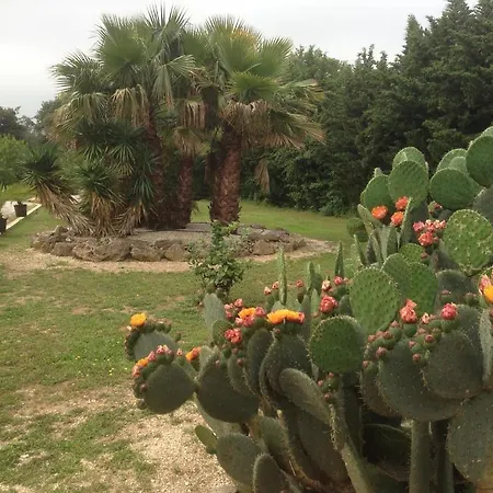 Bed & Breakfast Le Verger De Sauvebonne *